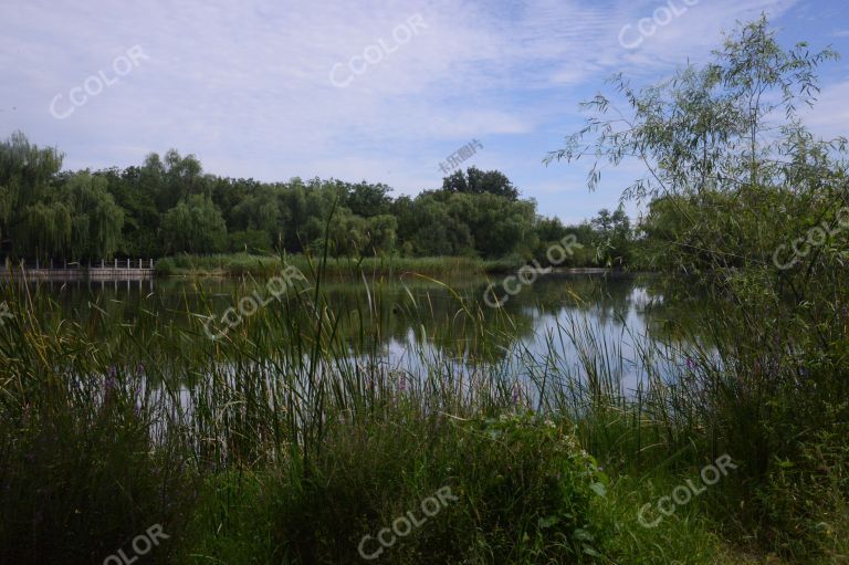 夏季风光，湖光山色