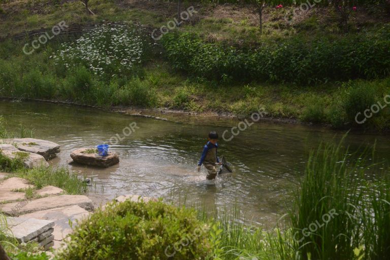 汛期安全（暑期安全），河道内停留玩耍的少年儿童