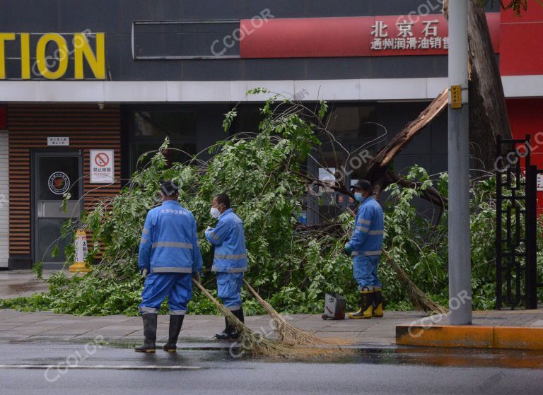 雨季安全（汛期安全），暴风雨后商铺门前折断的树木