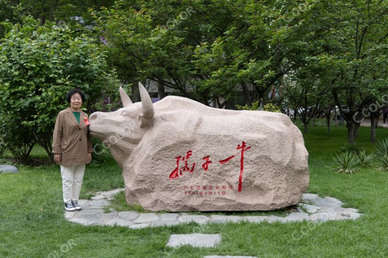 清华大学孺子牛石雕